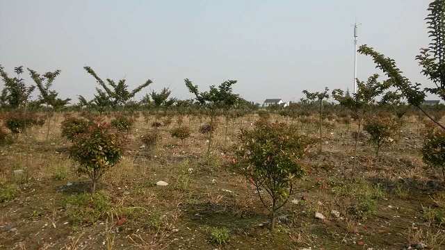 園區基地展示(3)